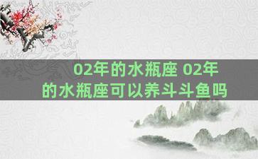 02年的水瓶座 02年的水瓶座可以养斗斗鱼吗